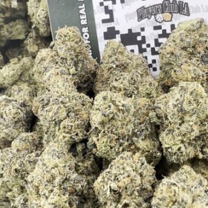 BLUE CERTZ (LICENSED)