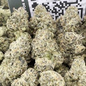 DESIGNER RUNTZ (LICENSED)