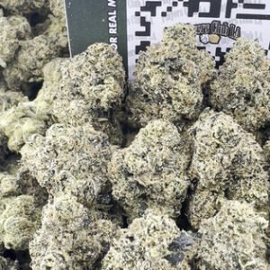 GOJI BERRY RUNTZ (LICENSED MEDIUMS)