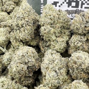 HELLCAT RUNTZ (LICENSED)