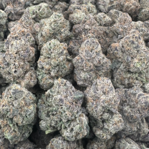 PRESSURE (CLICK HERE TO SEE SHIPPED PRICES)