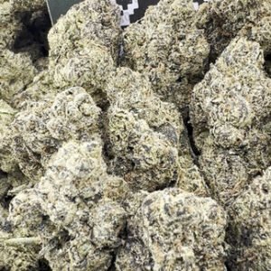 RUNTZ POPPERZ (LICENSED)