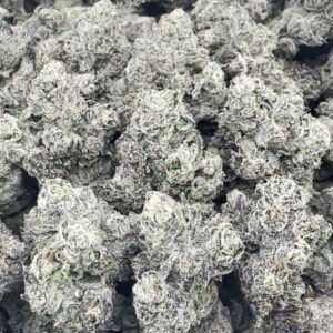 WARHEADZ (CLICK HERE TO SEE SHIPPED PRICE)