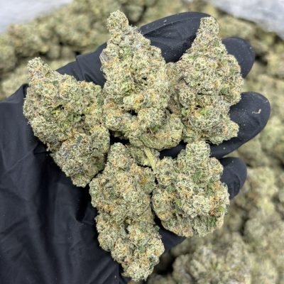 WhatsApp Image 2026-04-21 at 19.43.52