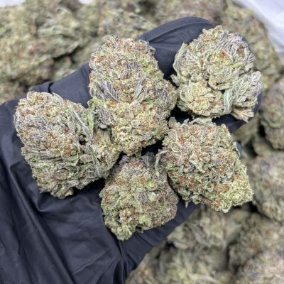 WhatsApp Image 2026-04-21 at 19.43.53 (1)