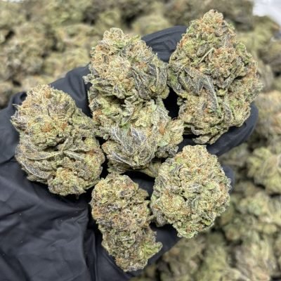 WhatsApp Image 2026-04-21 at 19.43.54 (1)