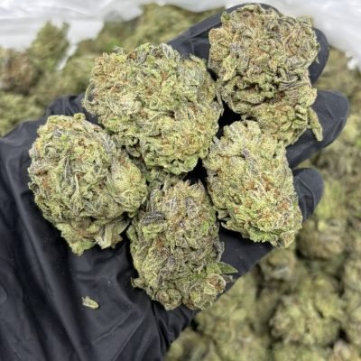 WhatsApp Image 2026-04-21 at 19.43.54