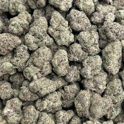 WhatsApp Image 2026-04-21 at 19.43.55 (1)