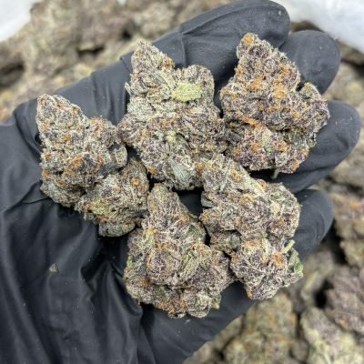 WhatsApp Image 2026-04-21 at 19.43.56