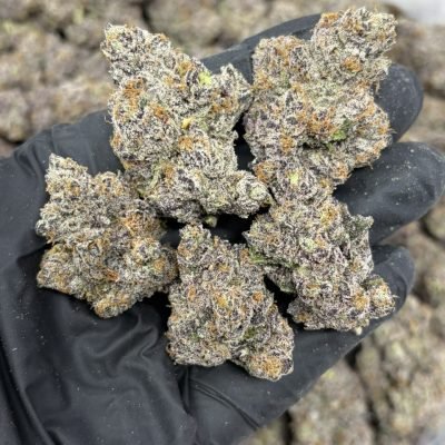 WhatsApp Image 2026-04-21 at 19.43.57