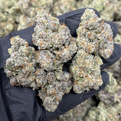 WhatsApp Image 2026-04-21 at 19.43.59