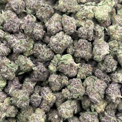 WhatsApp Image 2026-04-21 at 19.44.00