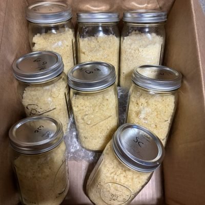 WhatsApp Image 2026-04-21 at 19.44.02