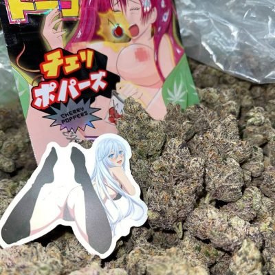 WhatsApp Image 2026-04-21 at 19.52.59 (1)