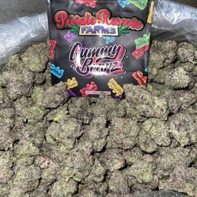 WhatsApp Image 2026-04-21 at 19.53.01 (1)