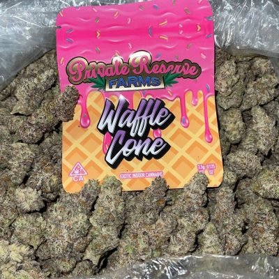 WhatsApp Image 2026-04-21 at 19.53.01