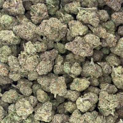 WhatsApp Image 2026-04-21 at 19.55.43