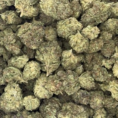 WhatsApp Image 2026-04-21 at 20.02.56 (1)