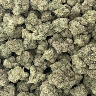 WhatsApp Image 2026-04-21 at 20.02.56