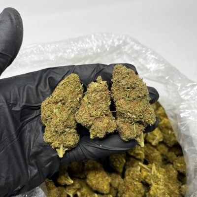 Dosido indica-dominant hybrid cannabis flower with dense frosty buds