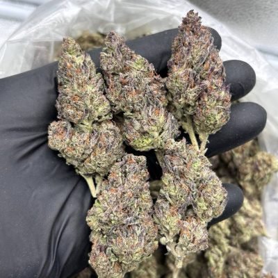 Carbon Fiber hybrid cannabis flower with dense frosty trichomes and exotic buds