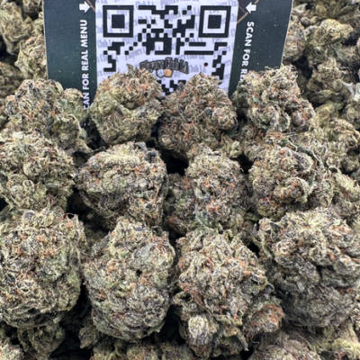 JUNGLE MINTZ (SEEDED)