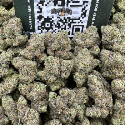 MIRACLE RUNTZ (LICENSED MEDIUMS)